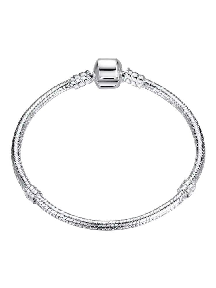 Snake Chain Charm Bracelet