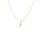 Big Initial N Necklace-1