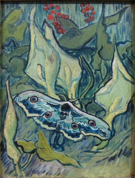 Vincent van Gogh, 1889 Oil In Canvas. 	Van Gogh Museum, Amsterdam