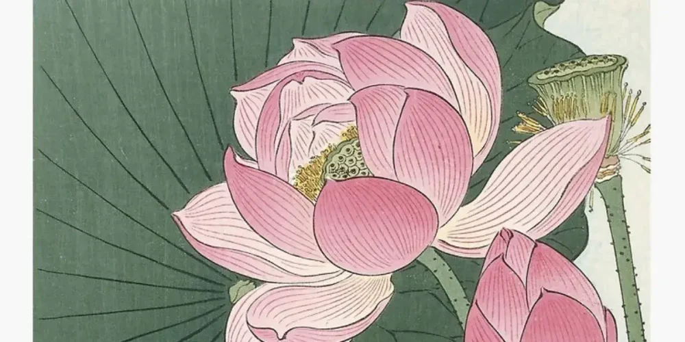 Lotus Flowers by Japanese Painter Hiroshige